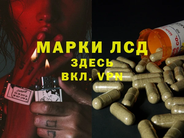 мяу мяу мука Нефтекумск