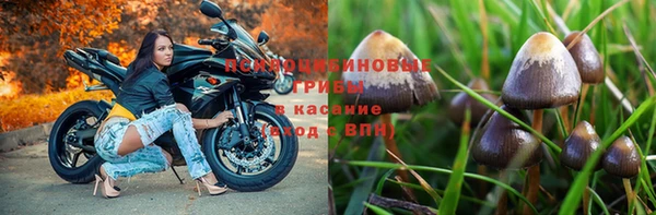 мяу мяу мука Нефтекумск